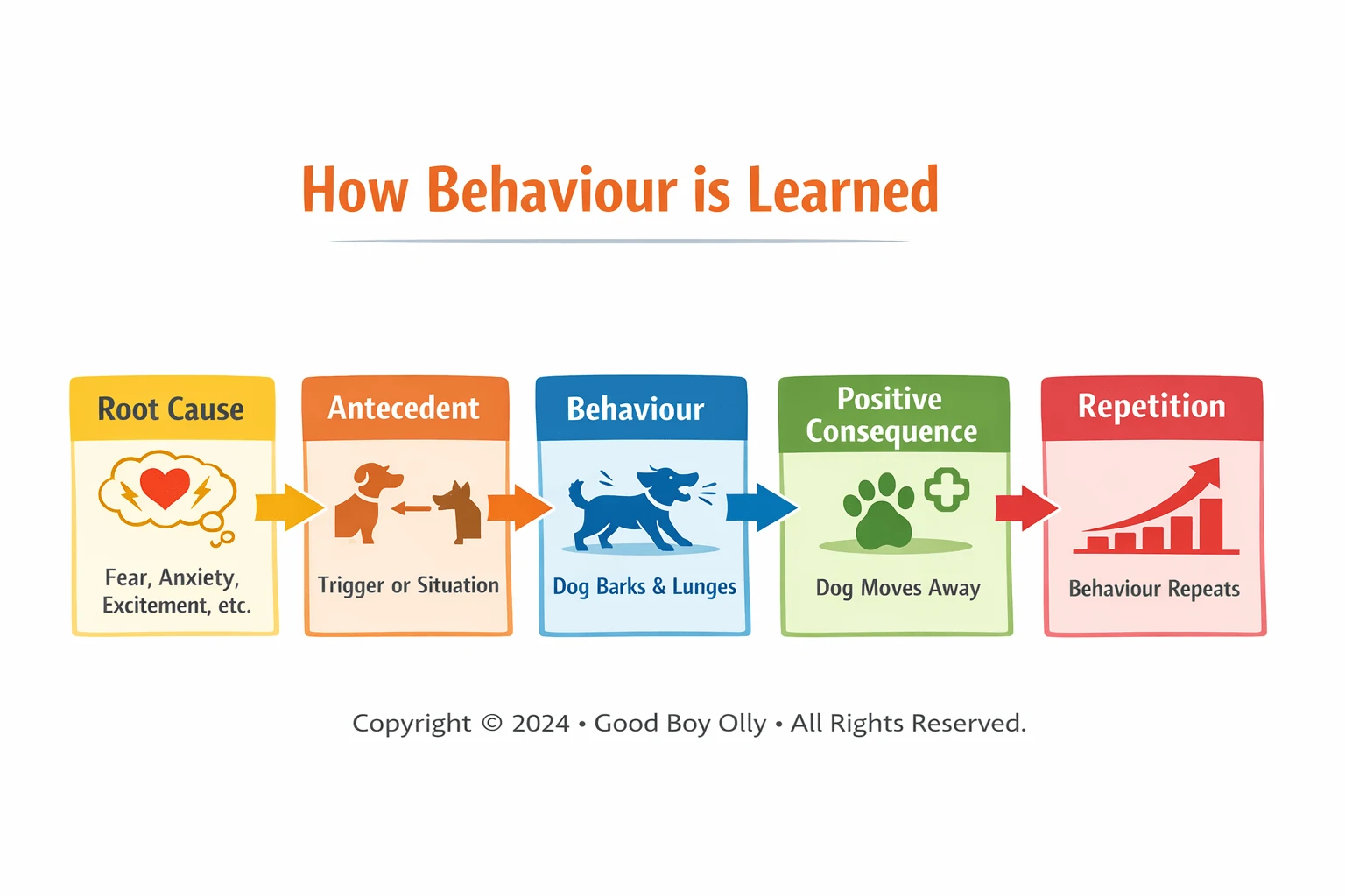 Dog Behaviour Training Perth | Understanding and Changing Dog Behaviour